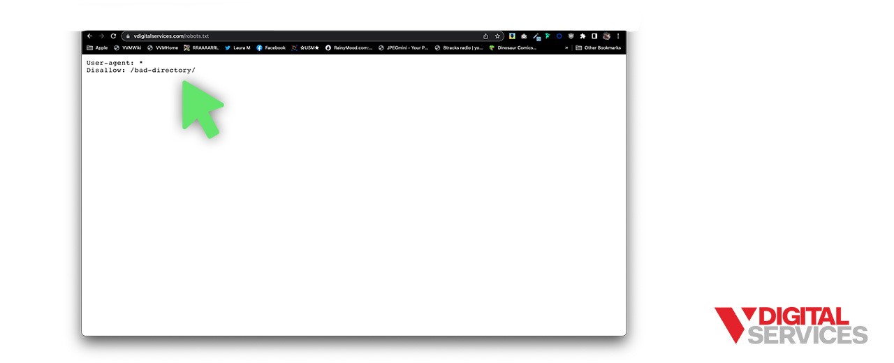 VDS-Blog-How to Use Robotstxt-4