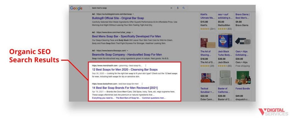 screenshot of organic seo search results