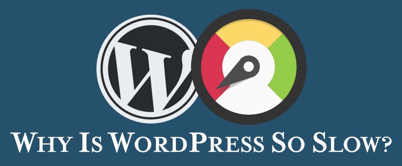 why-is-my-wordpress-site-so-slow